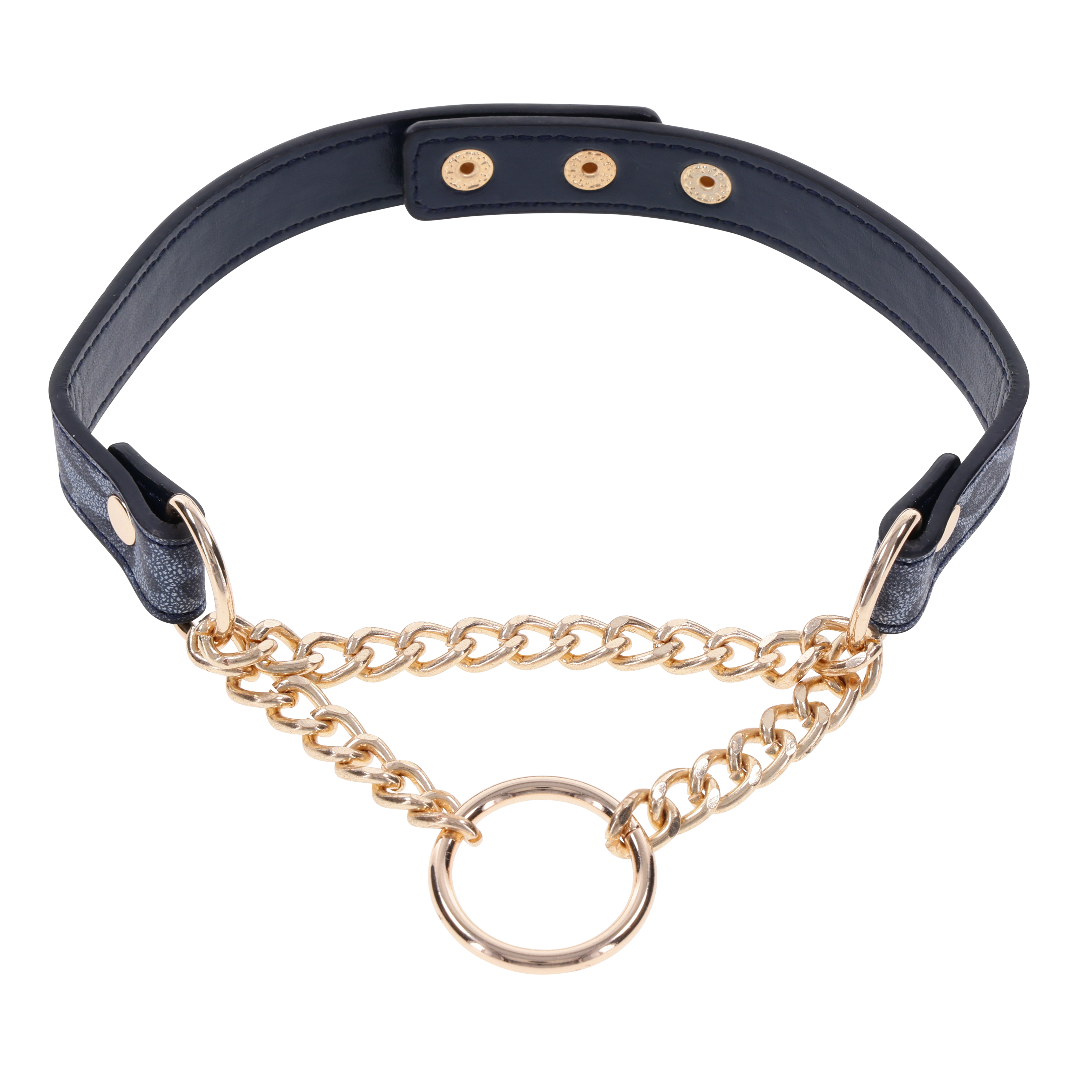Sportsheets Cougar Day Collar collare animalier oro