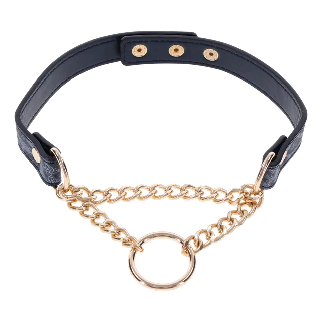 Sportsheets Cougar Day Collar collare animalier oro