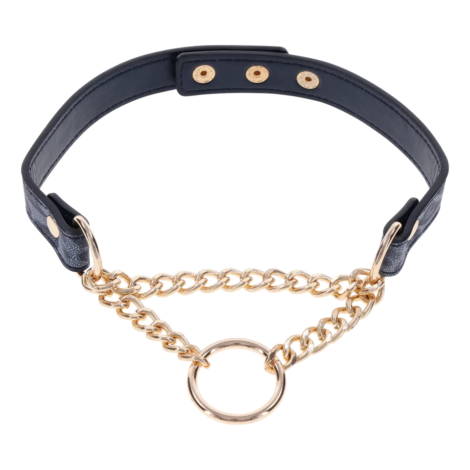 Sportsheets Cougar Day Collar collare animalier oro