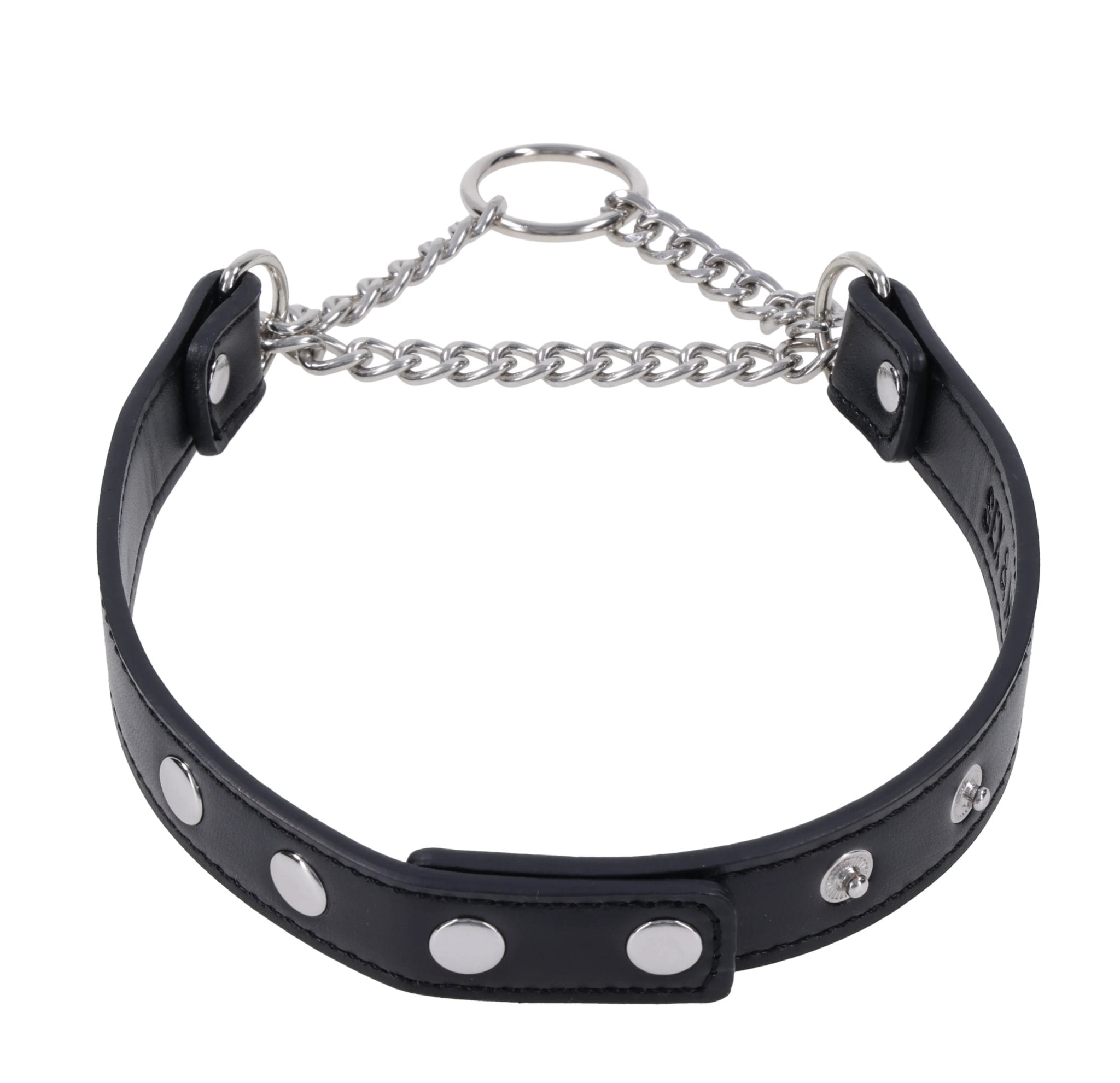 Sportsheets Shadow Day Collar collare giorno nero