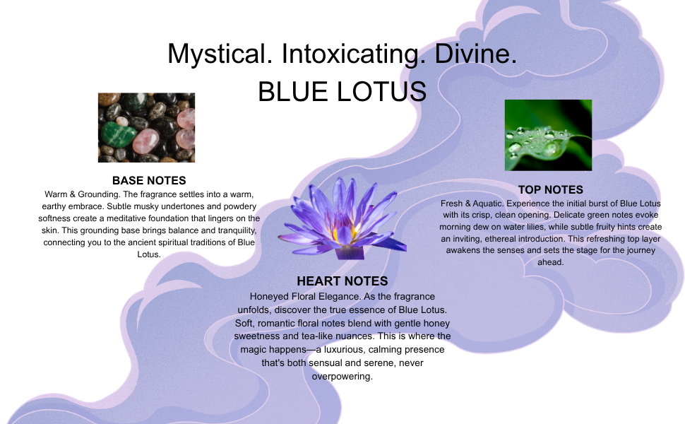 Kamasutra Sex Magnet Cofanetto Blue Lotus 3 Pezzi Floreale