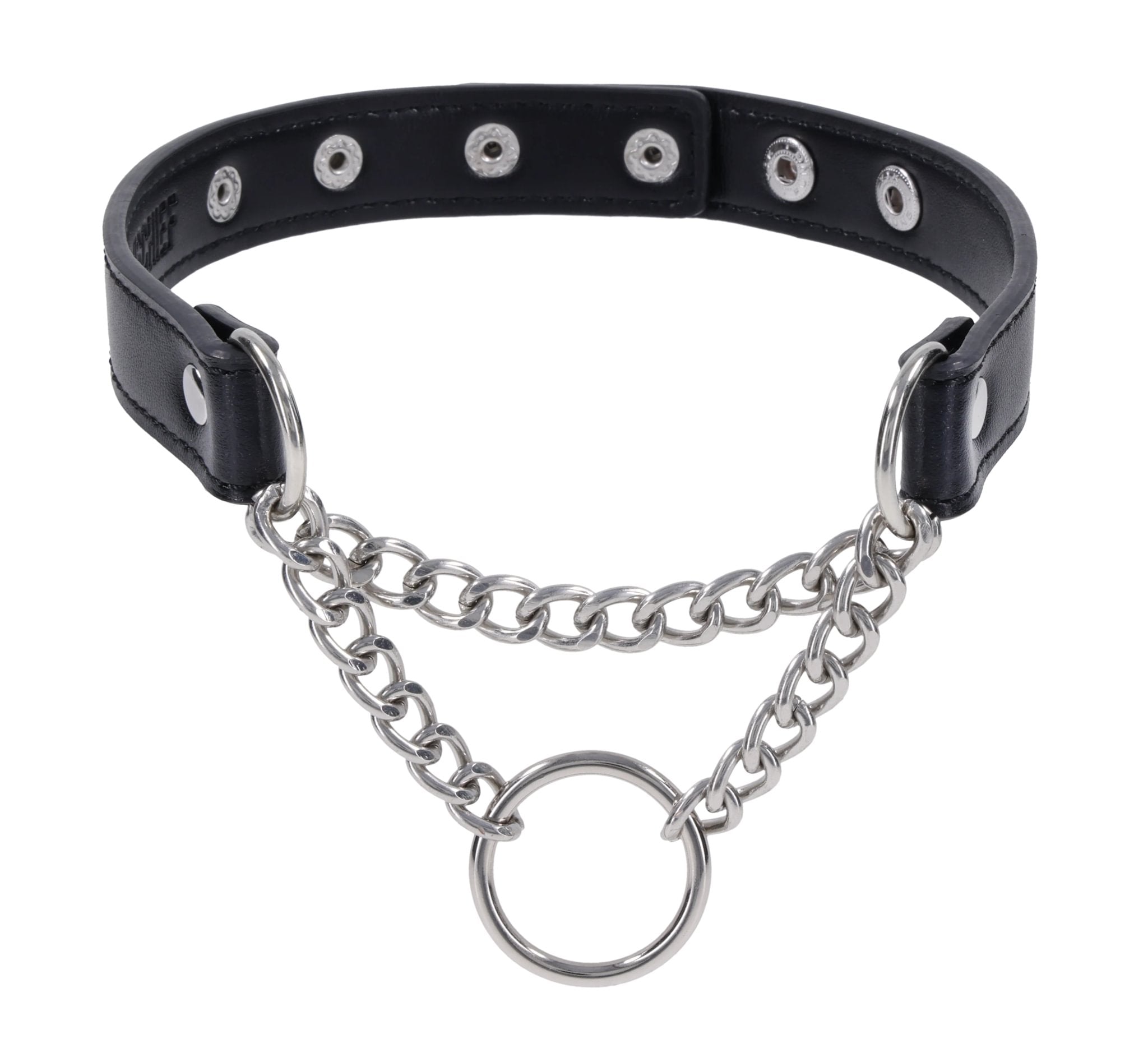 Sportsheets Shadow Day Collar collare giorno nero
