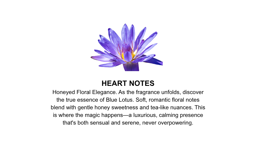 Kamasutra Sex Magnet Blue Lotus candela massaggio 170 g