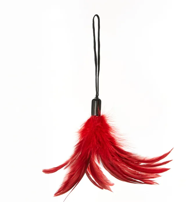 Sportsheets Pleasure Feather tickler piuma sensoriale rossa