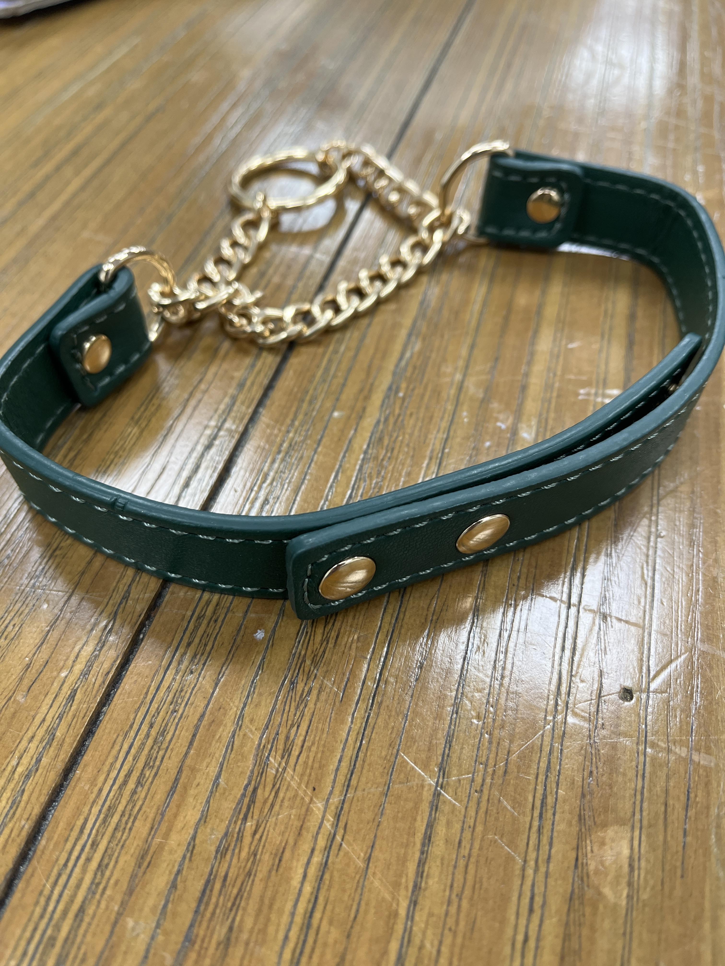 Sportsheets Indica day collar verde smeraldo