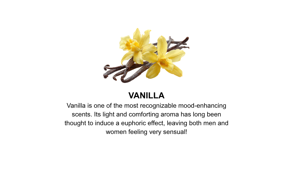 Kamasutra Sex Magnet Vanilla Amber candela massaggio 170 g